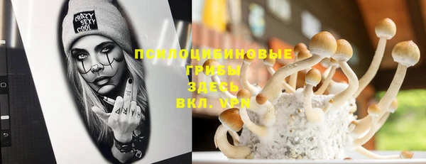 СК Абаза