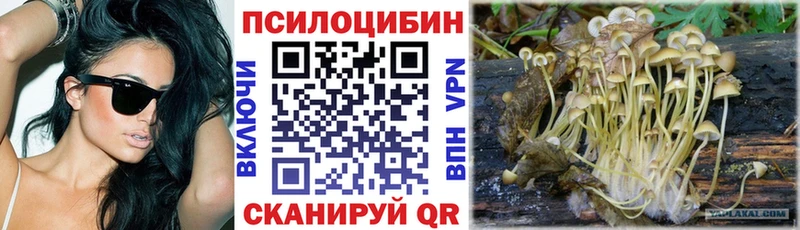 купить закладку  Питкяранта  Псилоцибиновые грибы мухоморы 